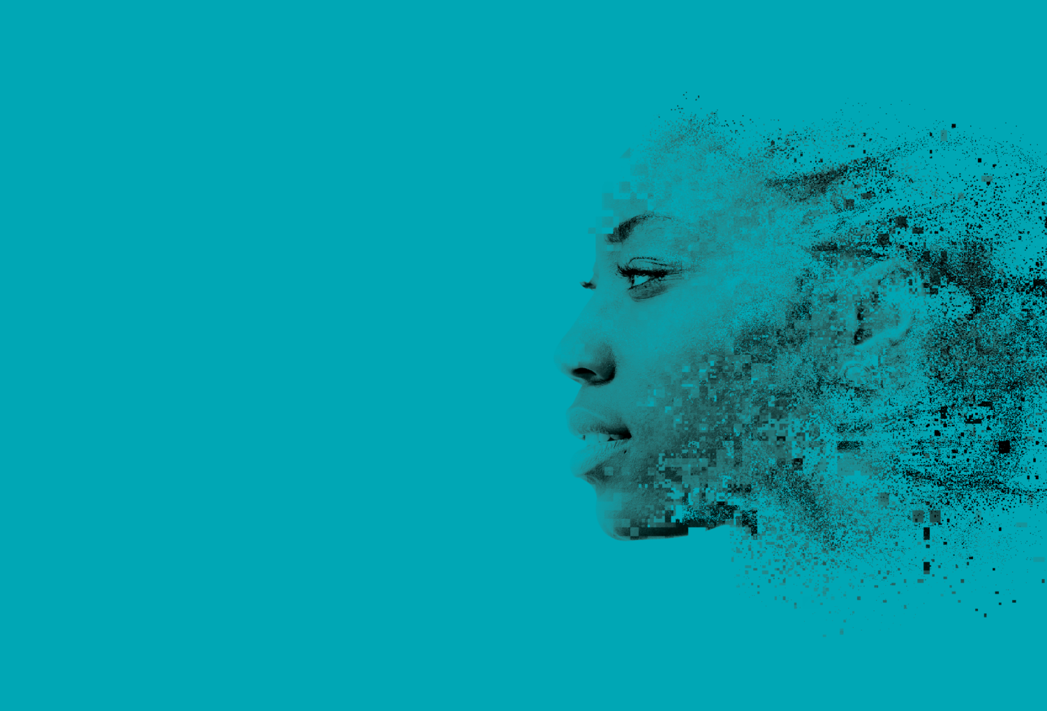 Web Banner Teal (1) - PAI