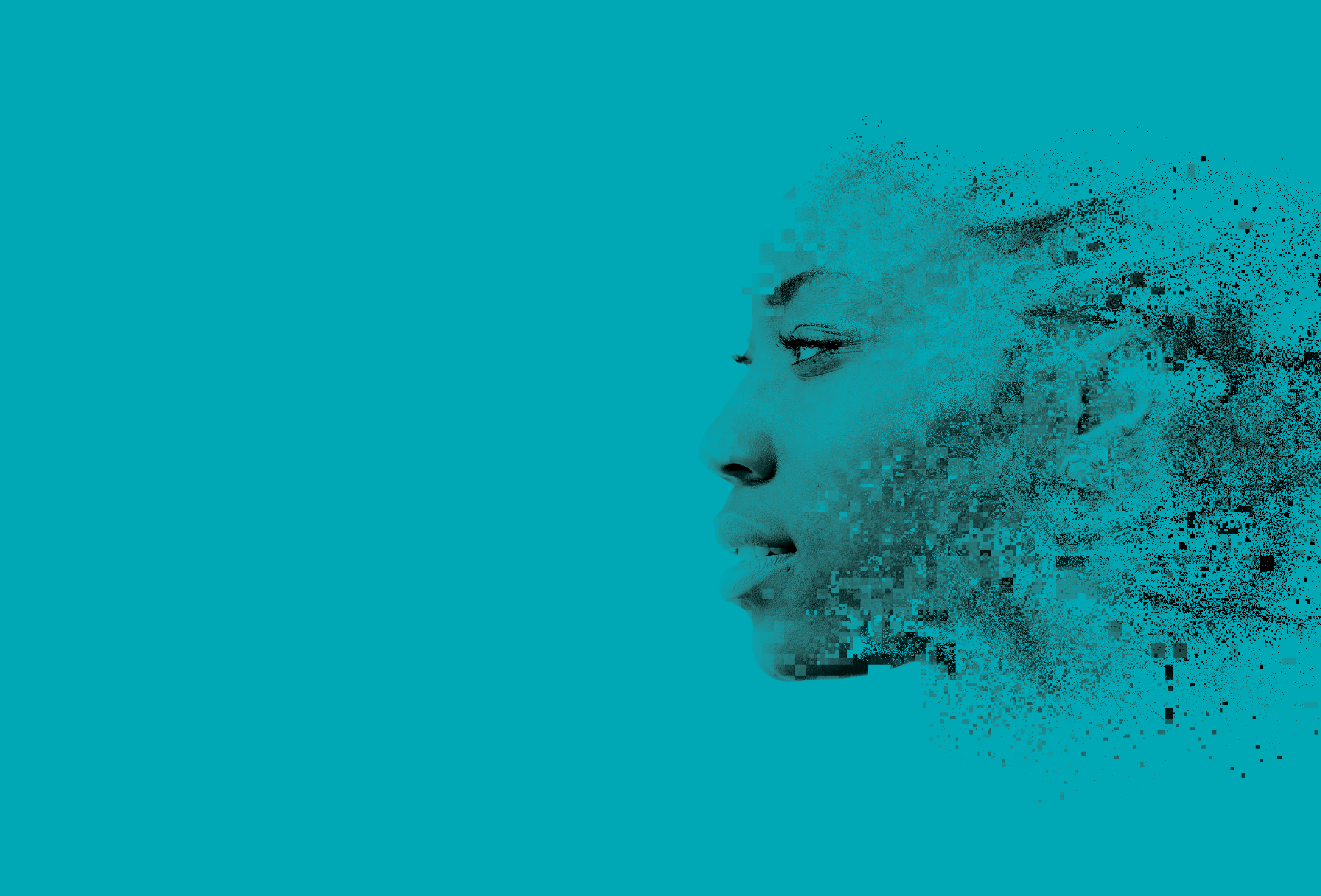 Web Banner Teal (1) - PAI