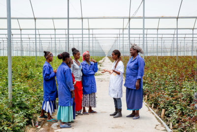 A group of Ethiopian women talking in a farming center. A group of Ethiopian women talking in a farming center.